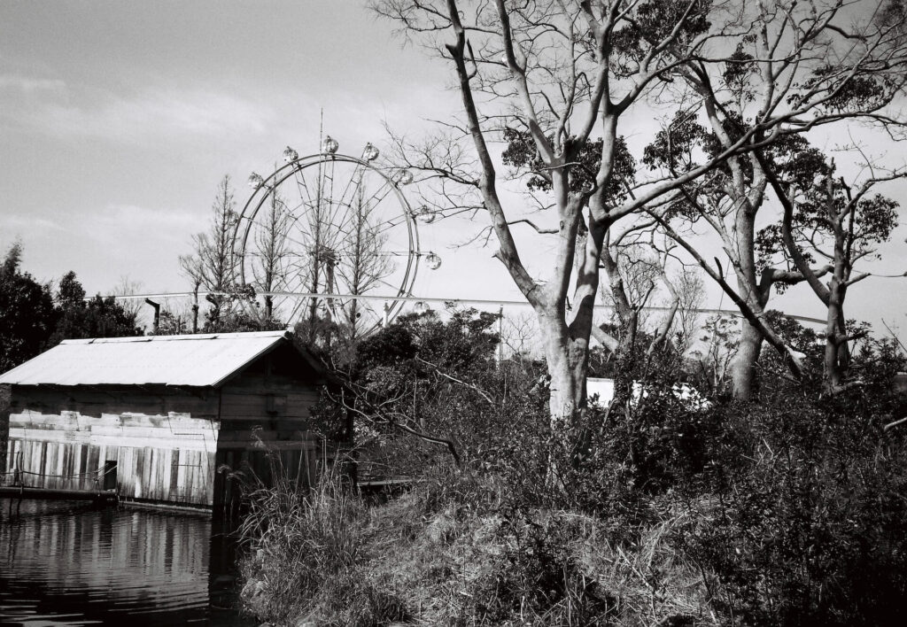 KYOCERA TD Carl Zeiss Tessar T* 3.5 35 NEOPAN 100 ACROS II 観覧車 引き